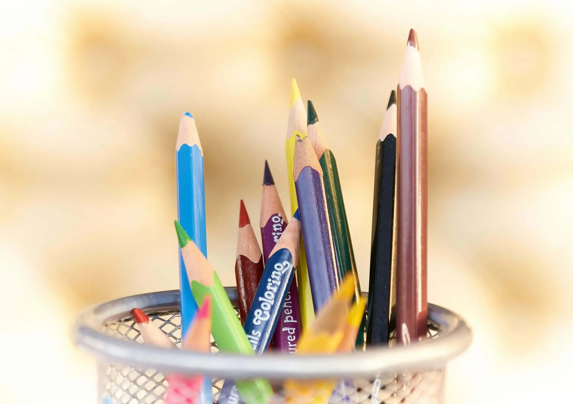 Budget-Friendly Back to School Shopping Guide