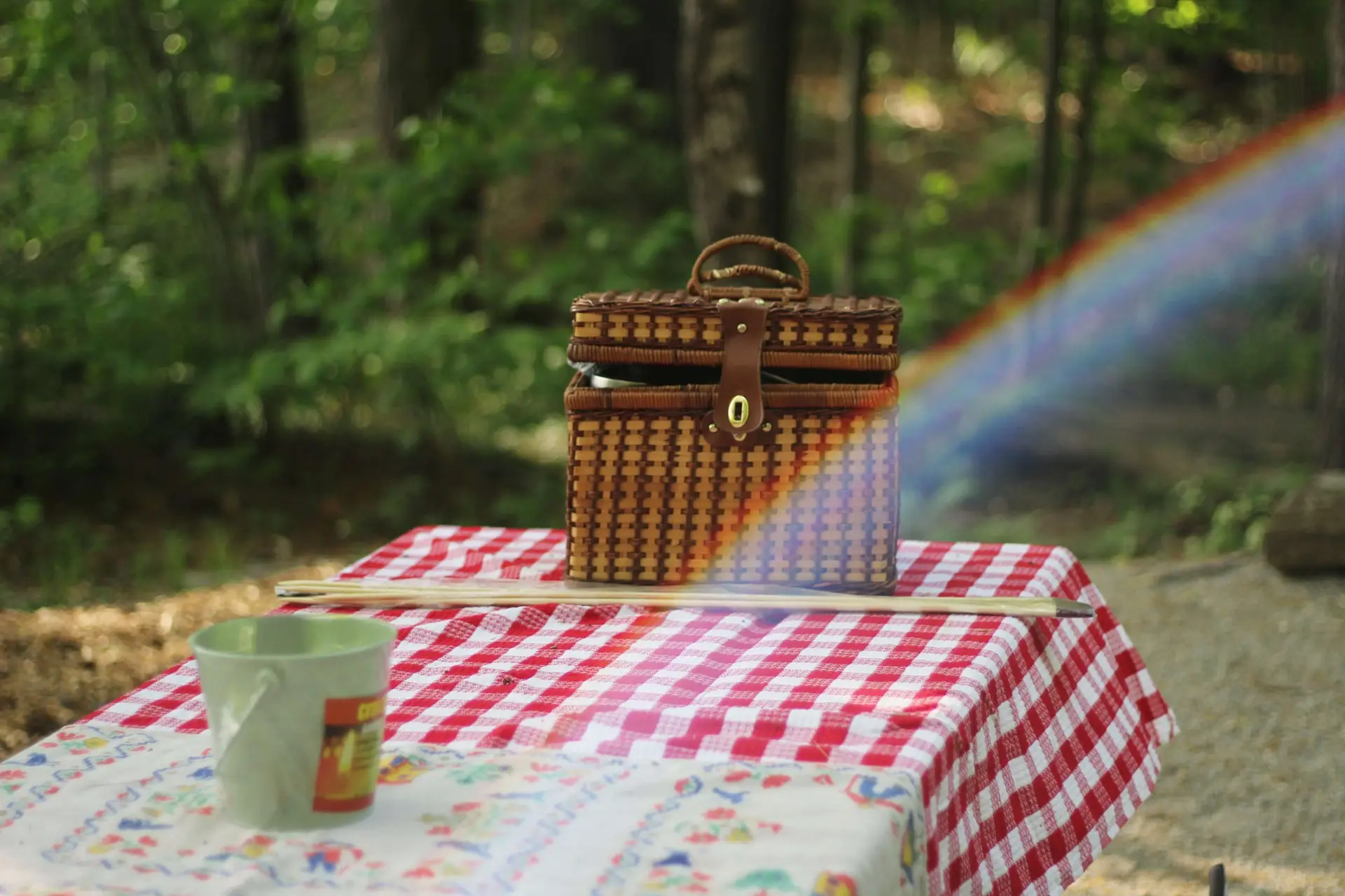 Build and Bond: DIY Kids Picnic Table Plans 