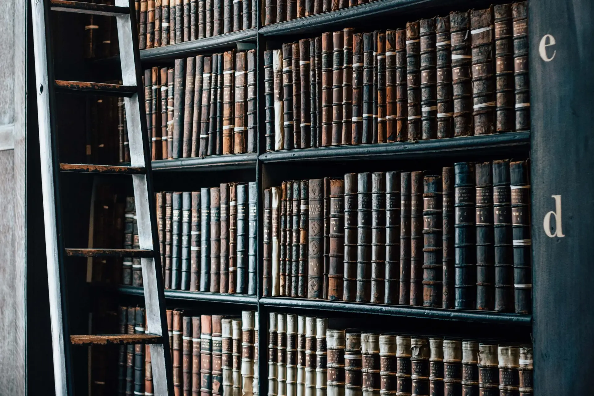 From Ancient Tales to Modern Narratives: Top History Books for Kids