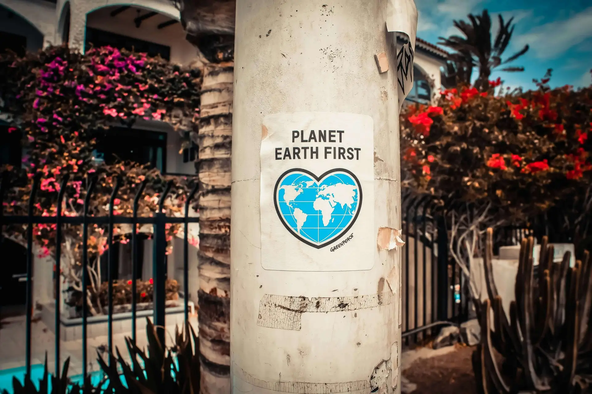 How to Plan an Incredible Earth Day Party: A Guide