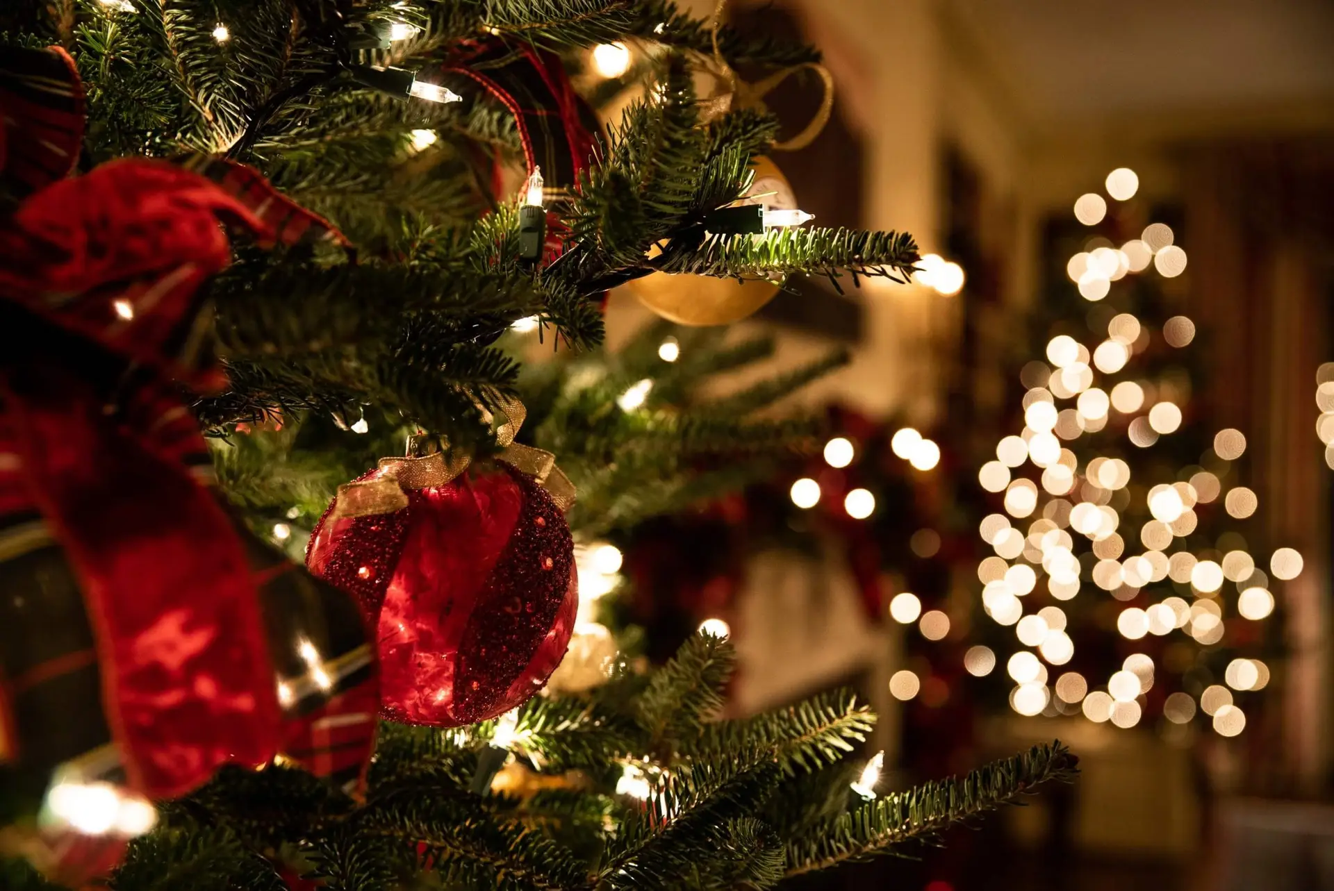 10 Fascinating Christmas Fun Facts for Kids