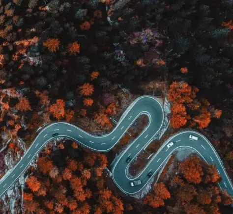Aerial view of a winding road cutting through a forest with vibrant orange and red foliage. Several cars are driving along the road, surrounded by dense trees, creating a striking contrast with the natural scenery.